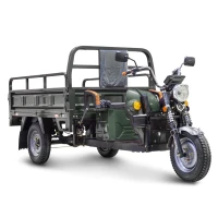 Грузовой электротрицикл Rutrike D4 NEXT 1800 60V1500W Зеленый